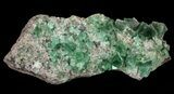 Fluorite & Galena Cluster - Rogerley Mine #60373-1